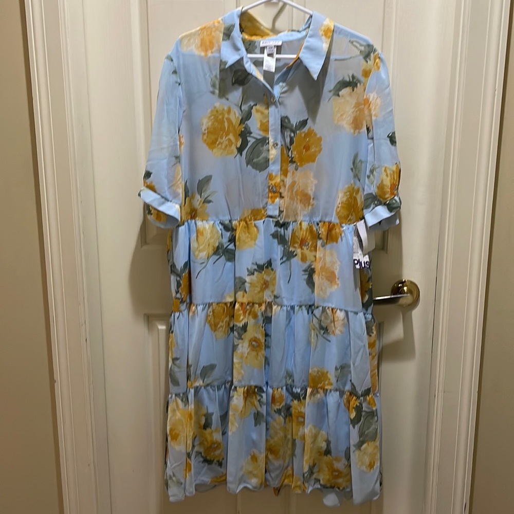 Kate Lily floral printed dress ( sz 20W)